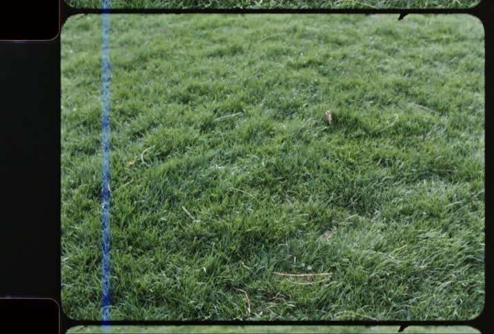 A video of grass is being recorded