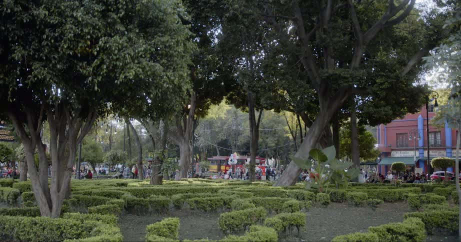 Hedges and trees with people in the background