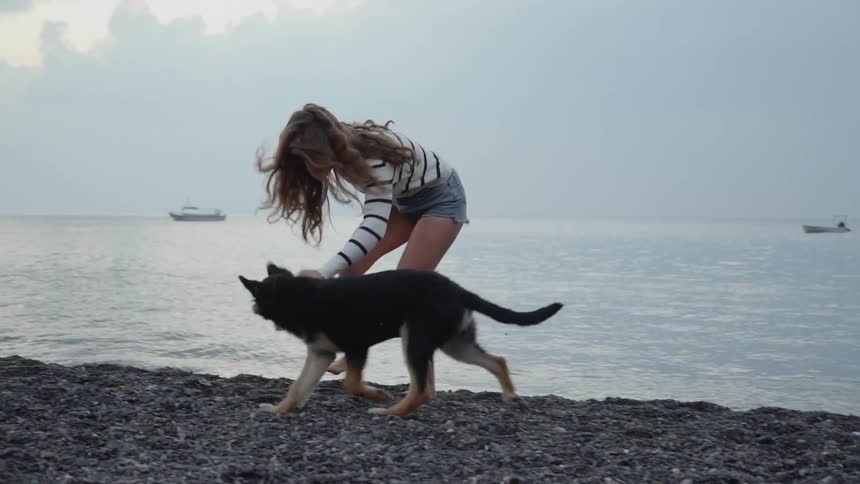A german shepherd puppy runs behind a woman on the rocky beach who then stops to pet him