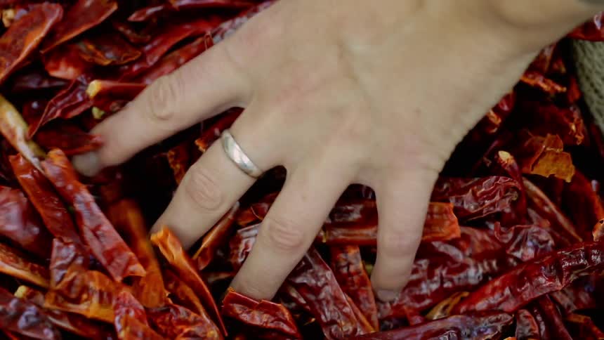 A person reaches into a burlap sack and picks up a handful of dried red chilies