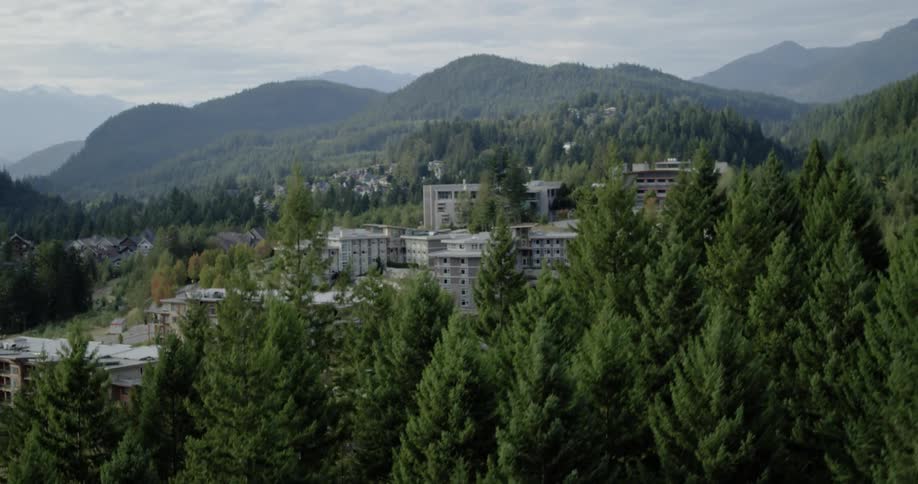 A view of buildings through trees