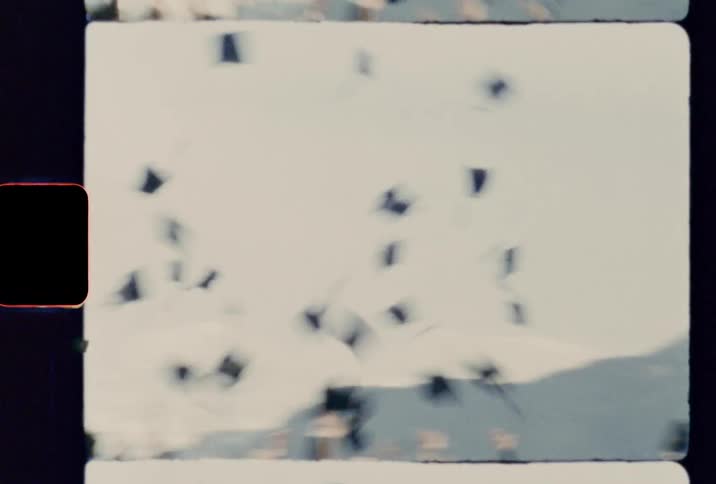 Film footage of a graduating class throwing their caps in the air
