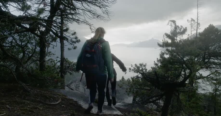 People are hiking in a forest