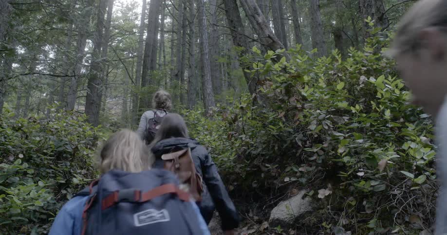 A group of four women wearing backpacks hike up a wooded trail