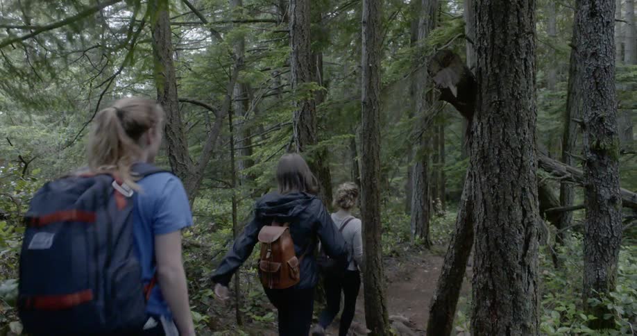 A group of people walk down a wooded trail