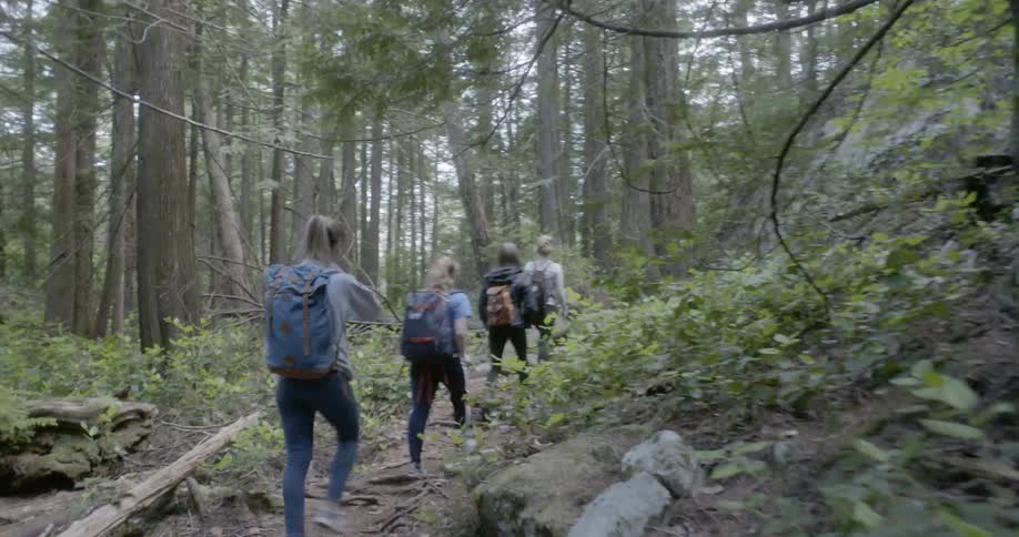 A group of young women walk through a forest