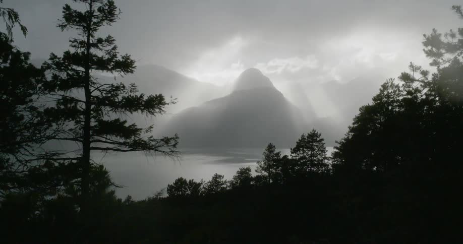 Through the tall trees of a forest a large lake and mountains can be seen on a cloudy day