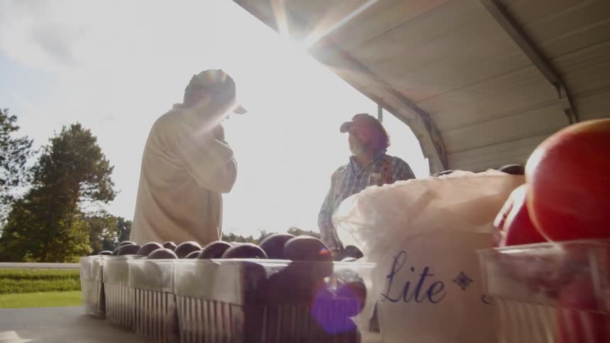 Two men stand and talk at a fruit stand