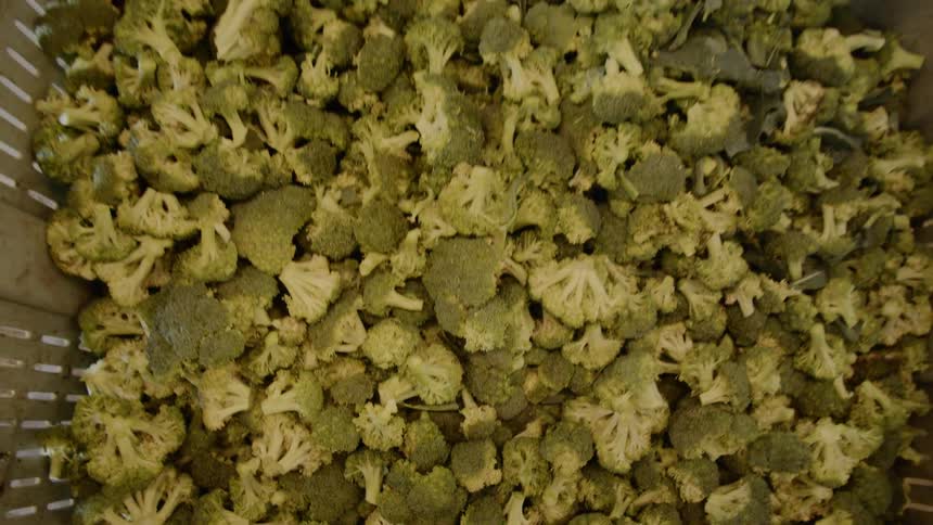 The bin is full of green broccoli