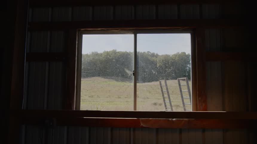 A window overlooking two ladders a field and trees