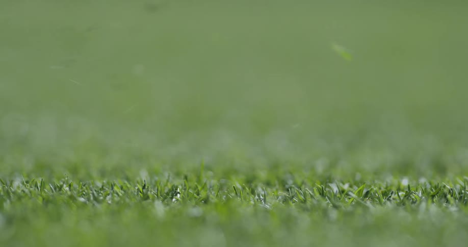Golf club hits ball sitting on grass