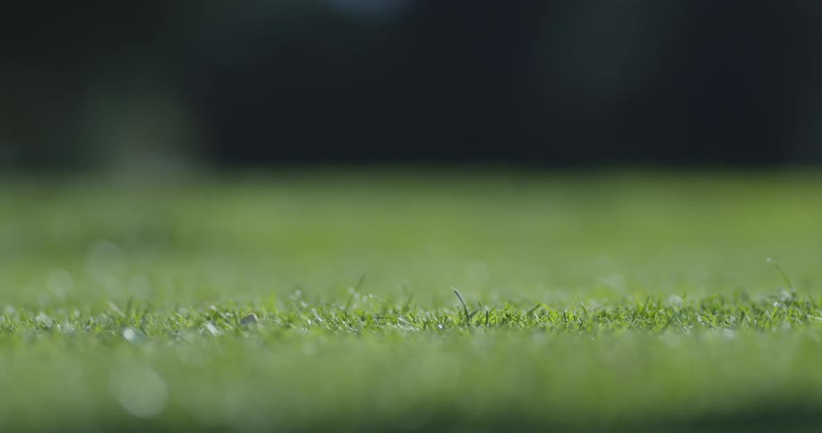 A golf ball sitting on a golf tee before being hit by a golf club