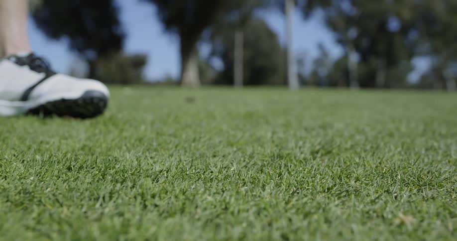 Golf player uses a club to hit the ball into the hole on a course