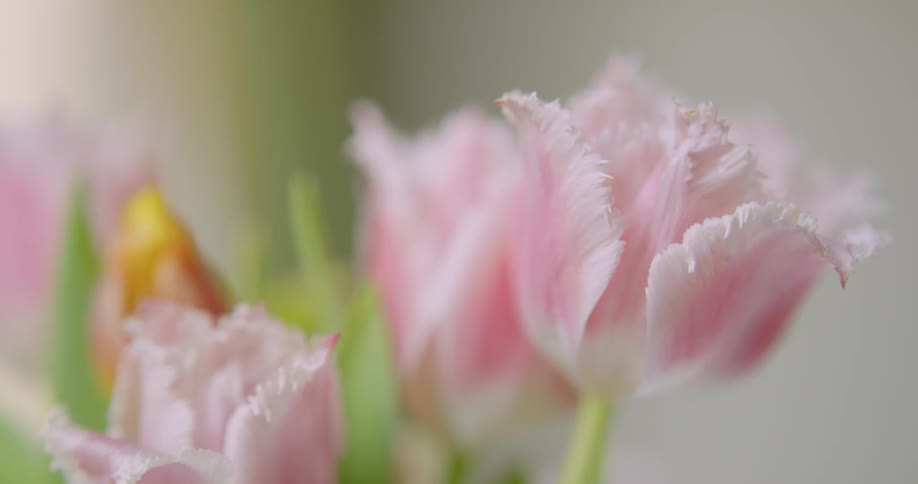 A flower arrangement has a number of small pink flowers