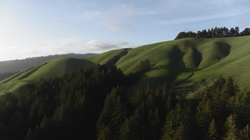 Landscape view in trees in front of rolling hills
