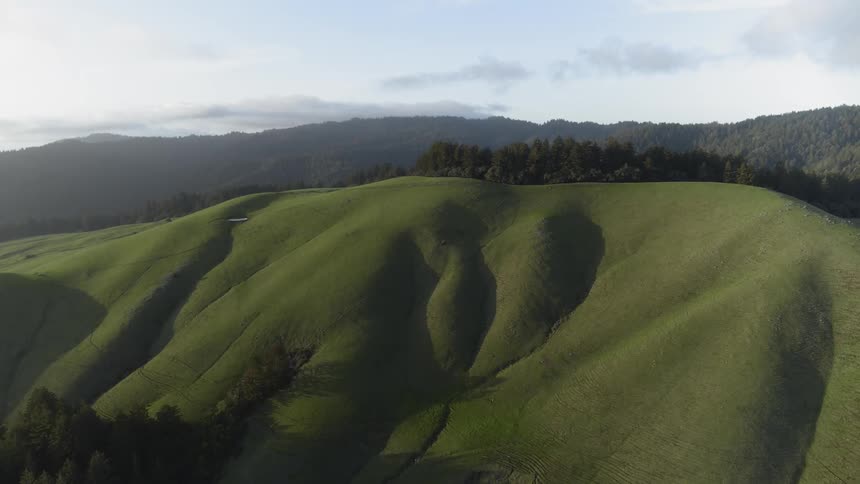 Forest covered mountains border green hill