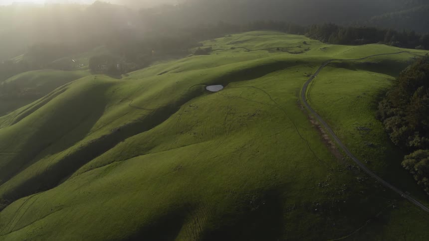 The hills are green and lined with trees