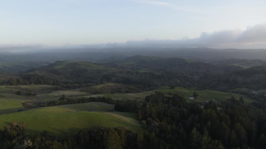 A landscape of green grass trees and hills