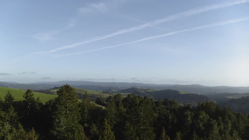 Trees among the hills