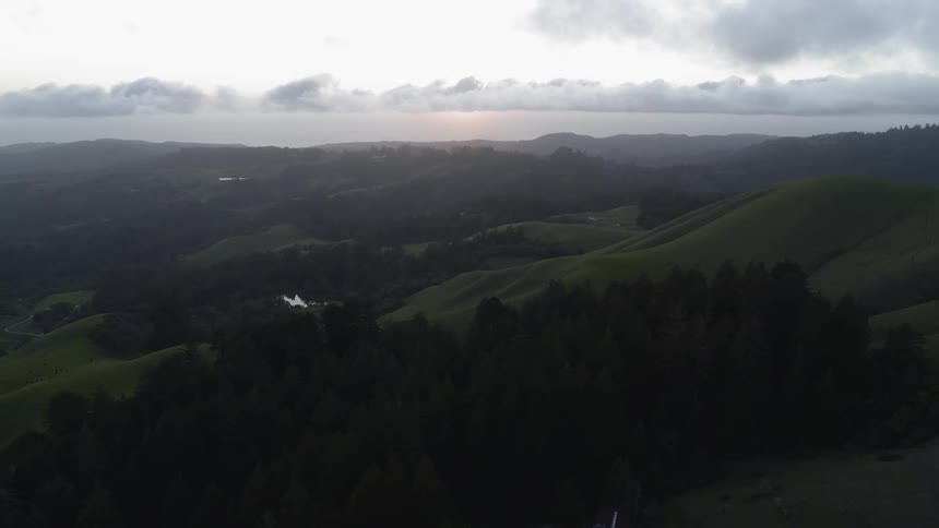 Rolling green hills with trees at sunrise