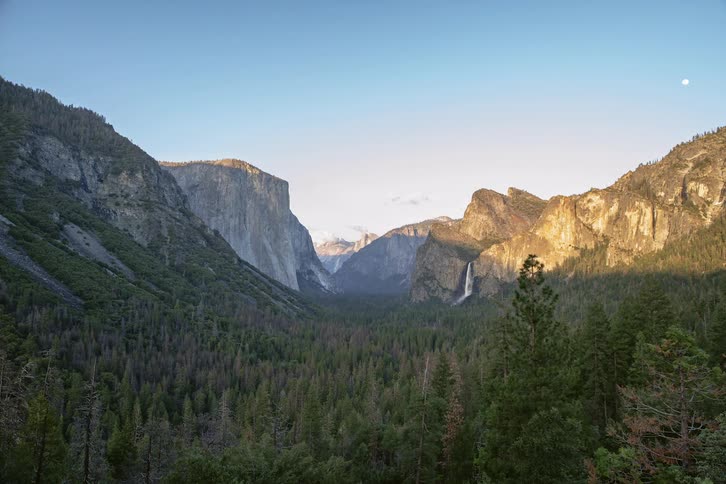 A forest with a waterfall and cliffs in the background