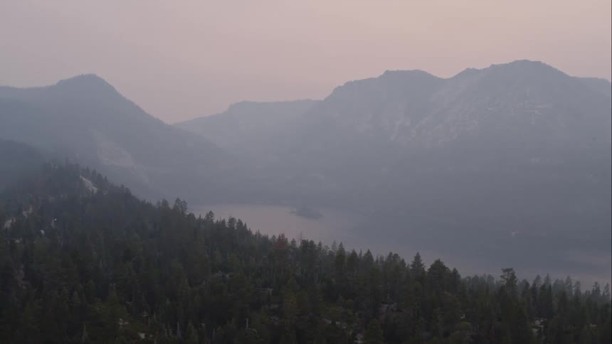 Landscape view of a forest and mountains