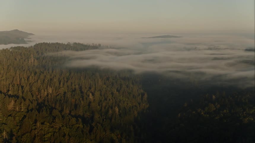 Cirrus clouds cover part of hilly forest