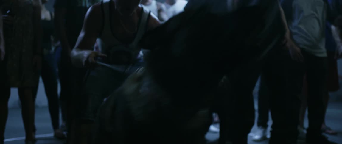 A dog barking at someone