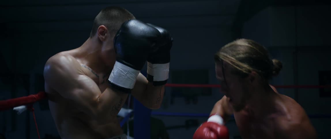 Boxers fight in a boxing ring