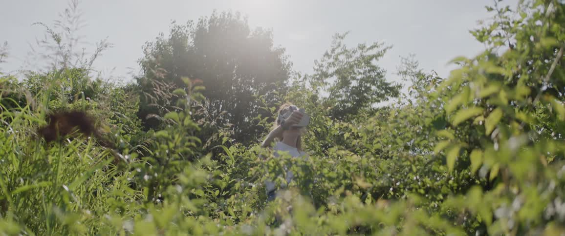 A scenery in a garden