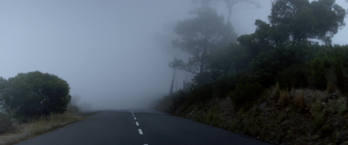 A thick layer of fog is enveloping a two lane road that it lined with grass and tall trees