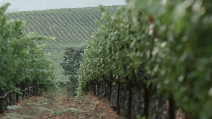 Panning shot of a farm
