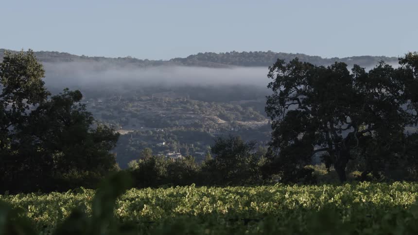 A well trimmed bush separates a plateau from a tree lined hill and the valley below