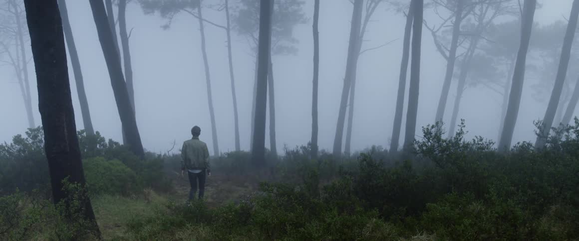A teenager walks through the fog in a forest