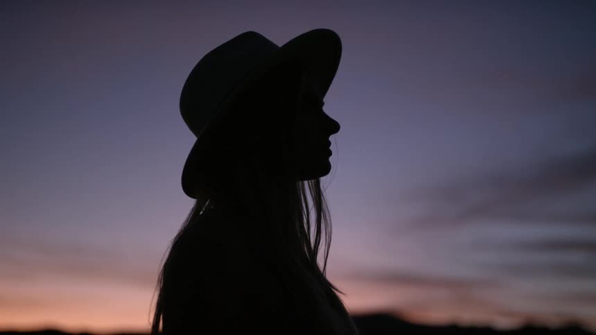 Silhouette of a person at dusk