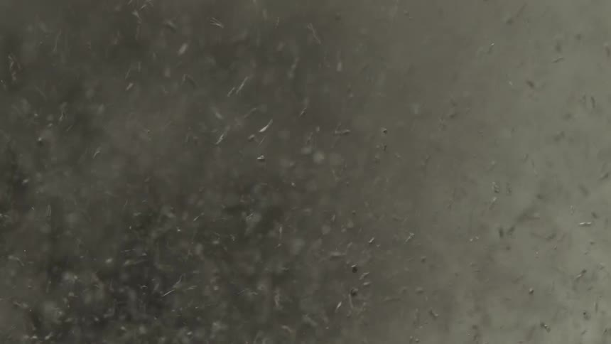 Rocks jumping in a speaker