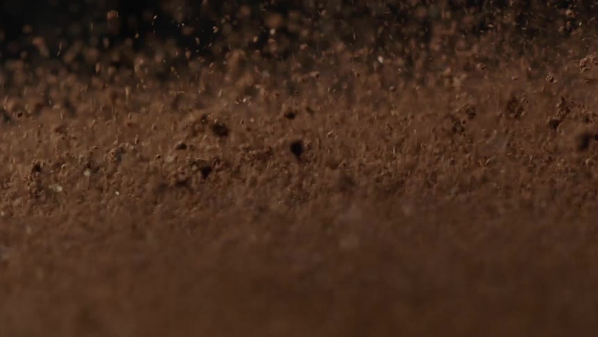 Brown grounds and nuggets jump up and down with vibration