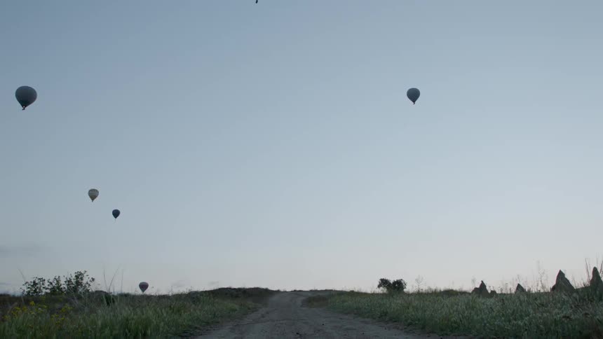 Hot air balloons floating in the sky
