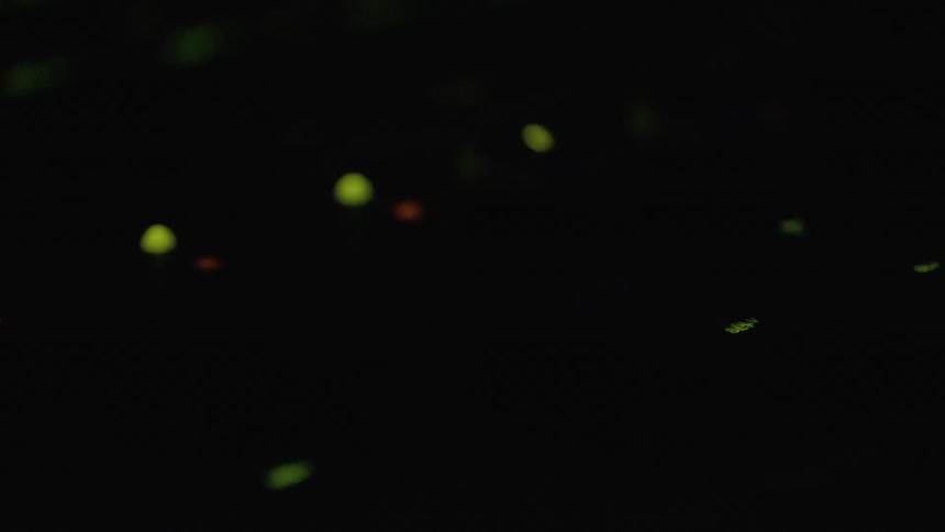 A blue light flashes on and off shining on a music control board levels
