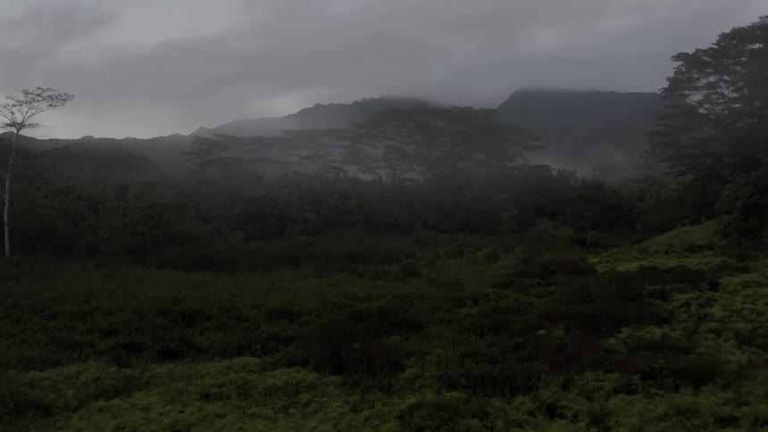A valley in the mountains covered in vegetation on a cloudy day
