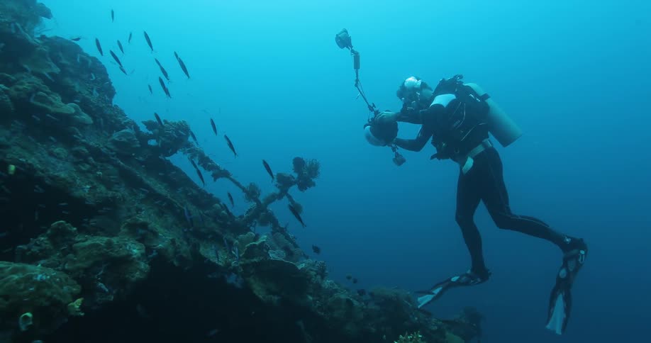 A diver photographs aquatic life