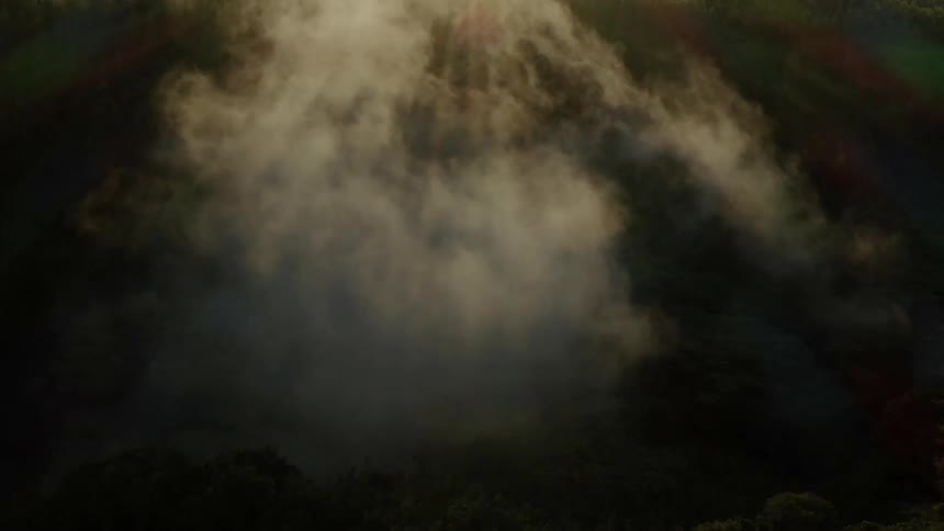 A pile of smoke over the trees