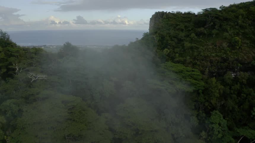 A mountain side with lush vegetation shields a strip of green pasture between the mountain and the sea