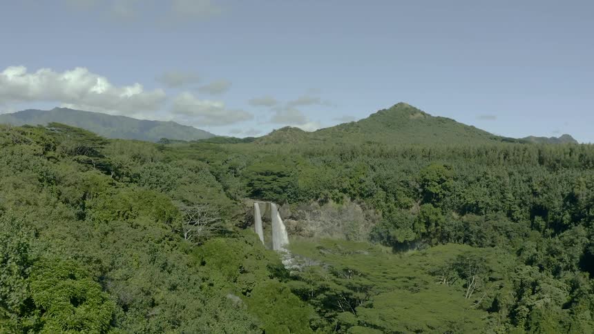 Forest surrounds waterfall with mountains on the horizon