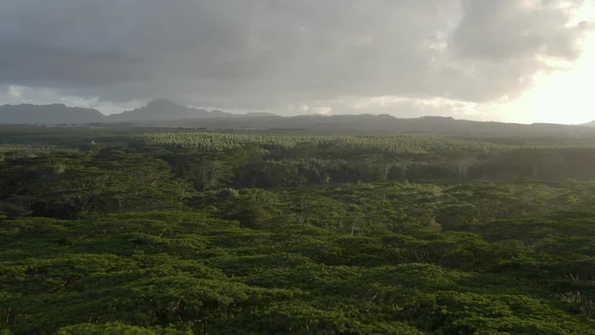 Storm clouds over a tropical rain forest densely packed with trees and mountains in the horizon