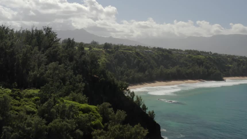 An aerial view of a forest near the beach