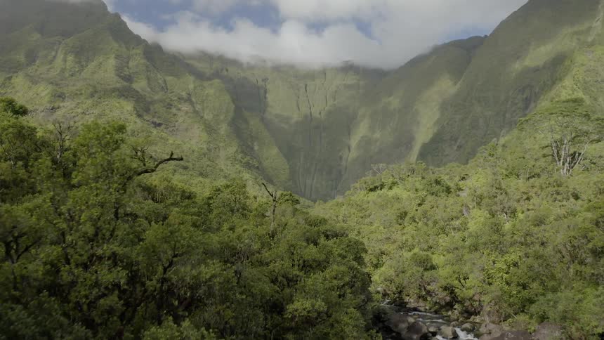 A view of the large green mountains