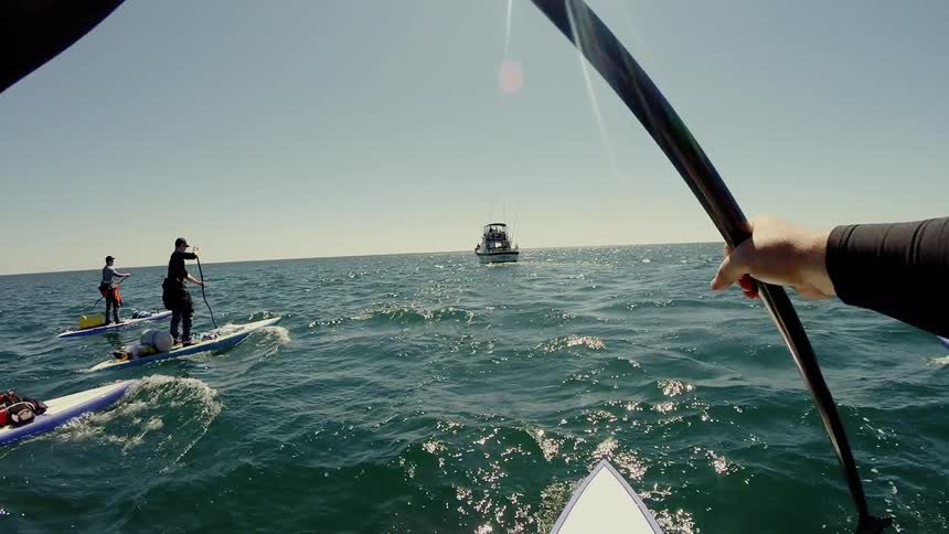 A group of people standing on paddle boards while paddling after a boat on the ocean