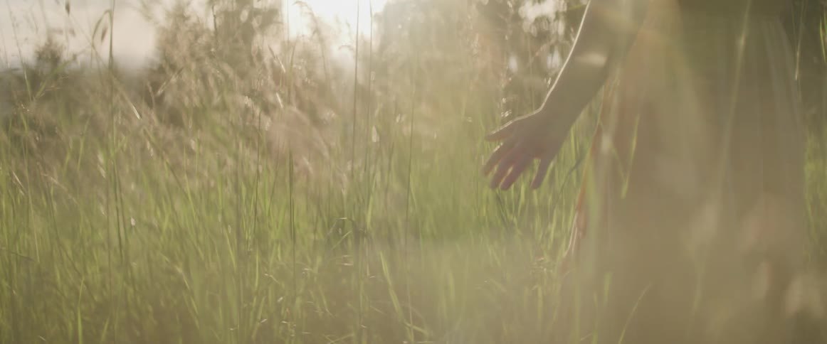 Womans hand touches the tops of grass stalks and she walks through field
