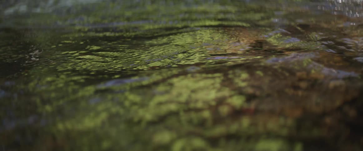 A close up view of water flowing